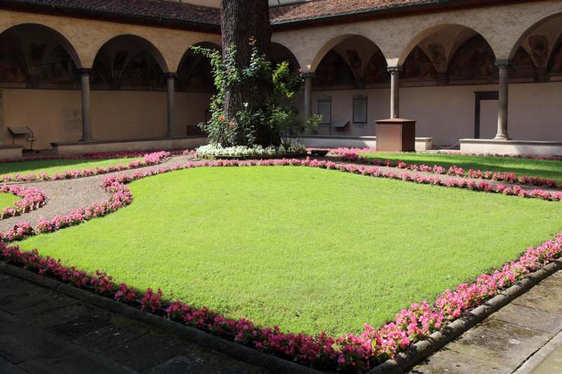 a green lawn with pink flowers around it