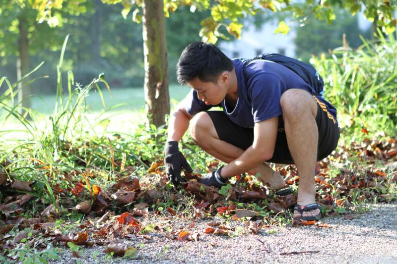 a man crouching in a pile of leaves