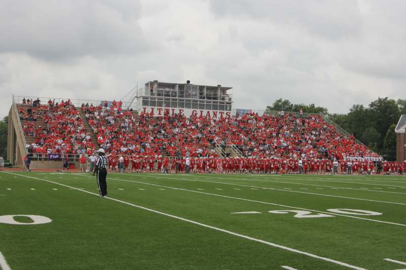 a football game with a crowd of people