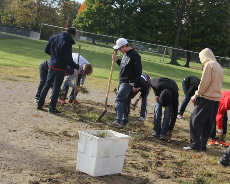 a group of people digging in the dirt