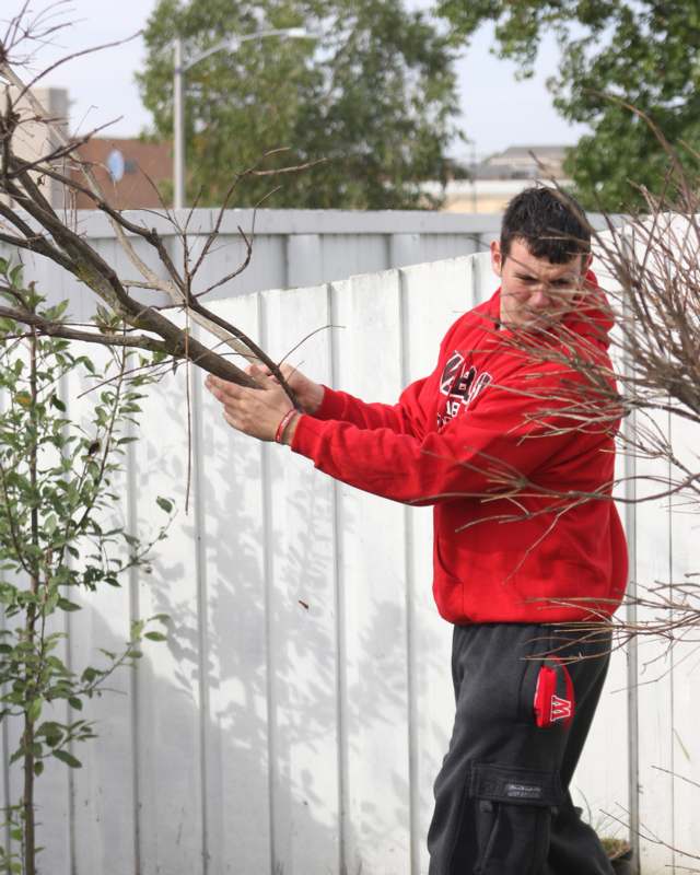 a man holding a tree branch