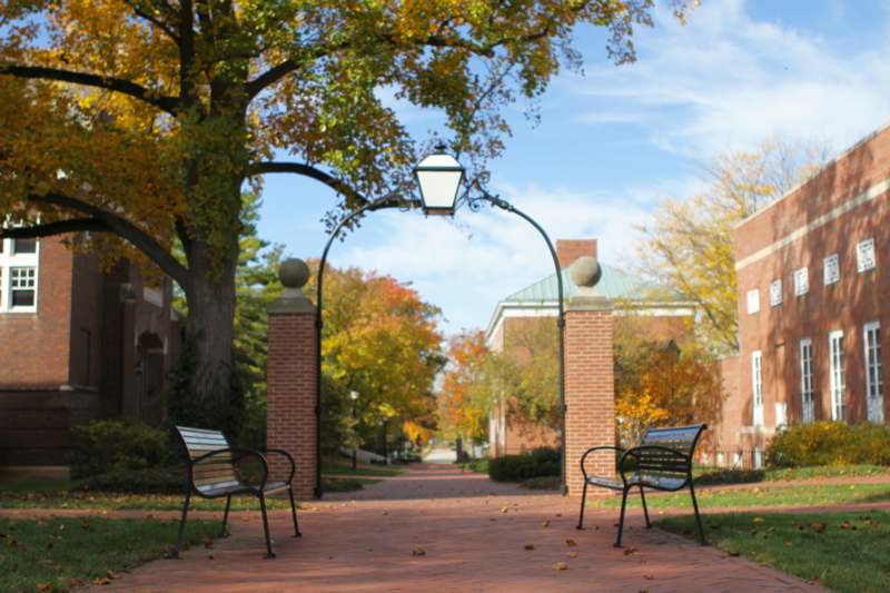 a brick path with benches and a lamp post