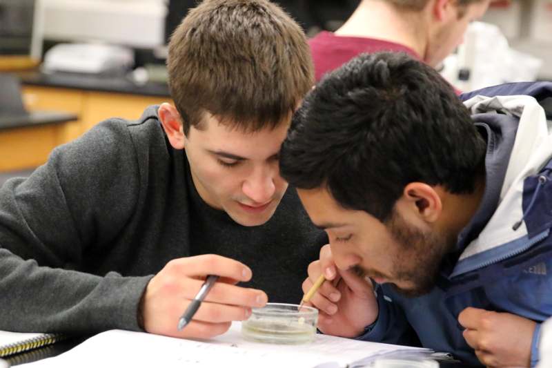 a couple of men looking at a petri dish