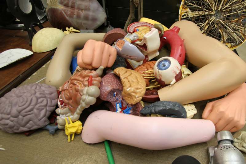 a pile of human organs