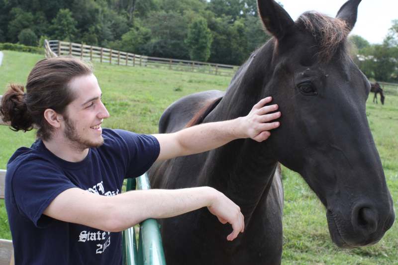 a man petting a horse