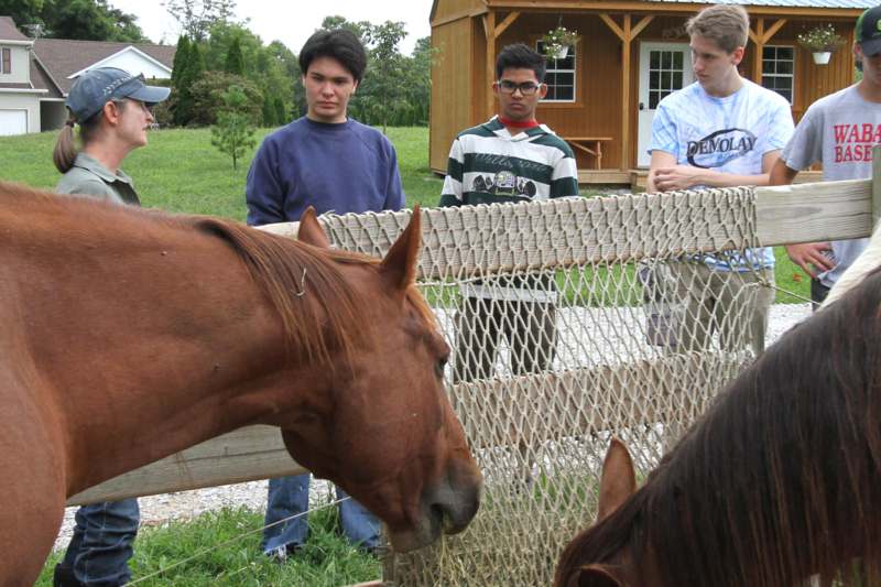 a group of men standing around a fence and horses