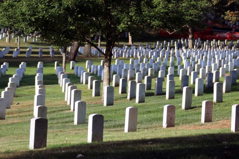 a cemetery with many white headstones with Arlington National Cemetery in the background