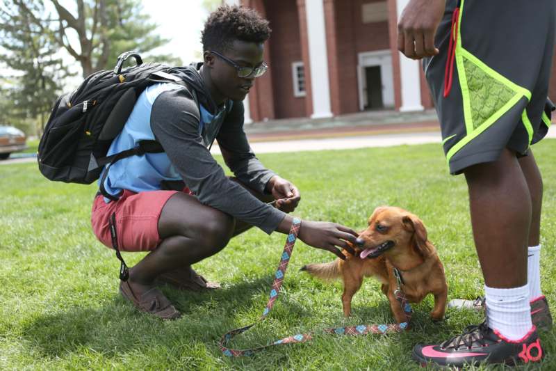 a man petting a dog on a leash