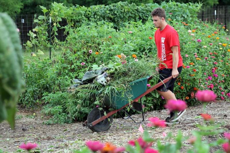 a man pushing a wheelbarrow full of plants