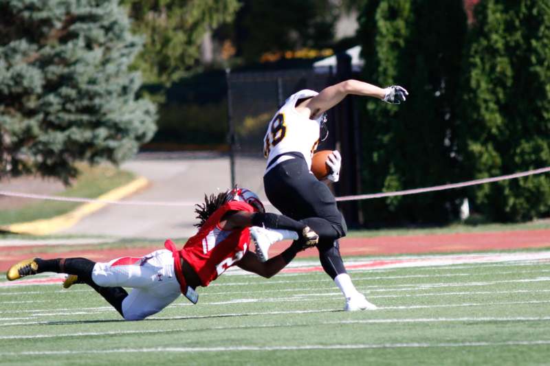 a football player falling into the end zone while another player dives