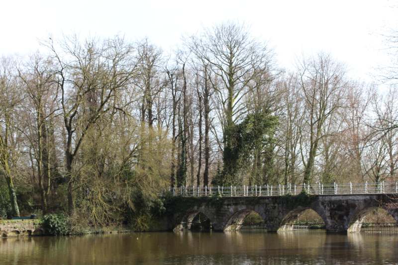 a bridge over water with trees in the background