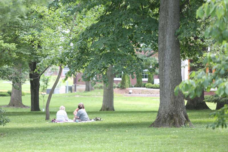 people sitting on the grass under a tree
