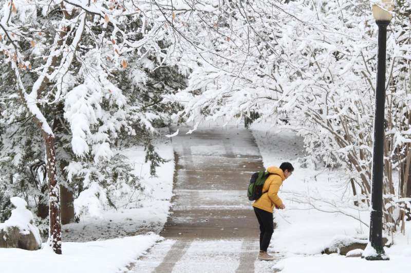 a man walking on a path with snow covered trees