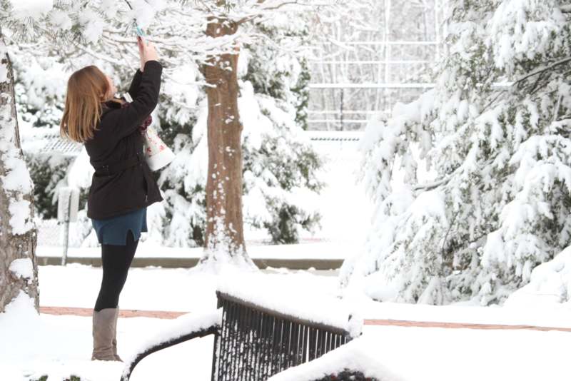 a woman taking a picture of a snow covered tree