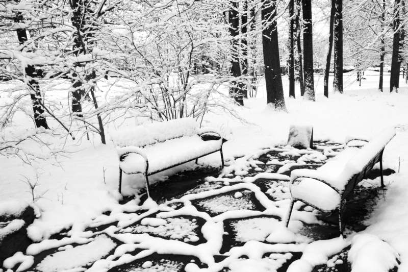 a snow covered park with benches and trees
