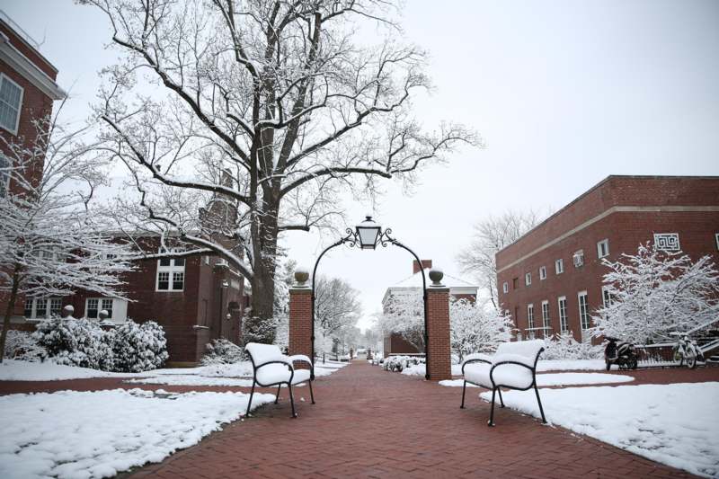a snow covered walkway between two benches