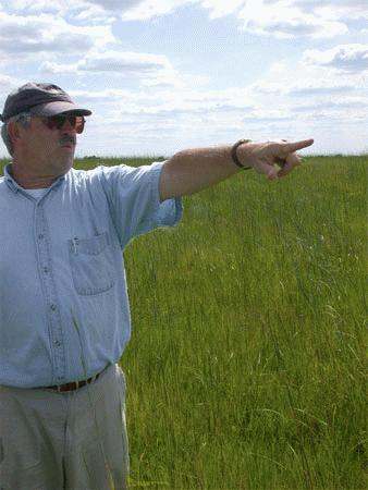 a man pointing at something in the grass