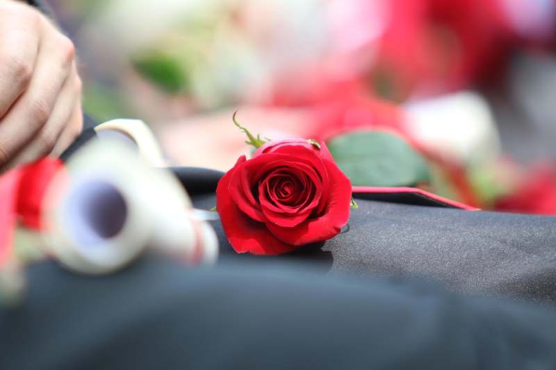 a red rose on a black suit