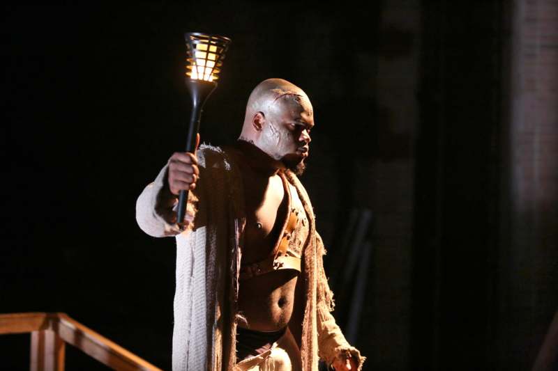 a man in a robe holding a torch