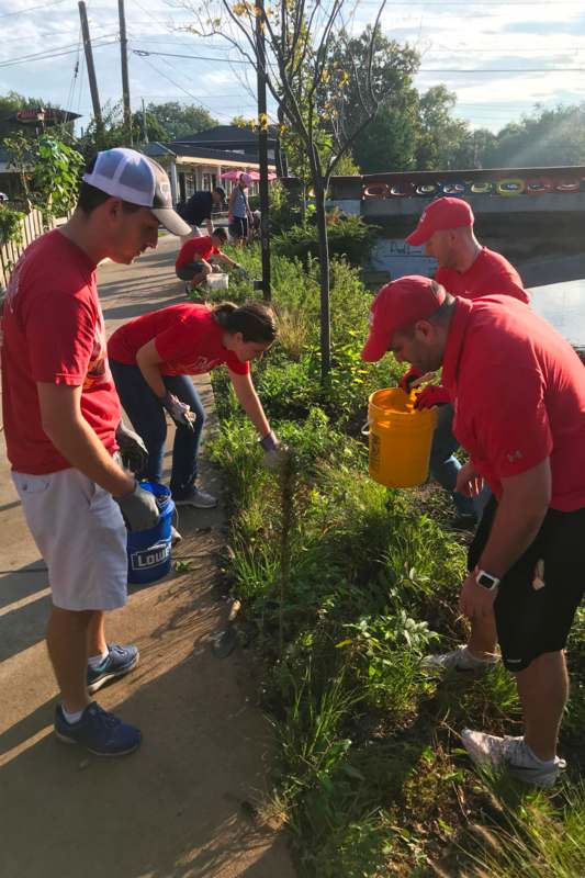 a group of people in red shirts planting plants