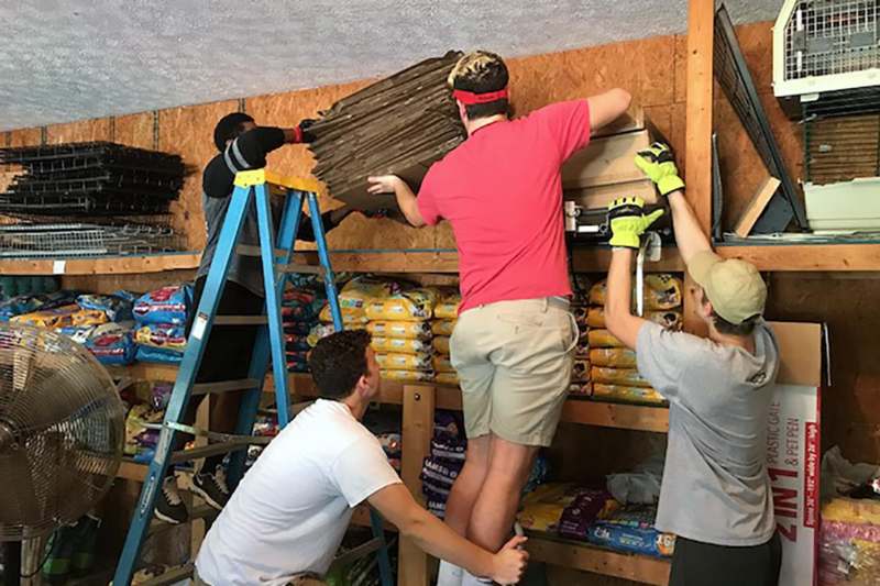 a group of men lifting a stack of cardboard boxes
