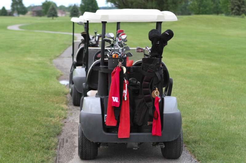 a golf carts with golf clubs on the back