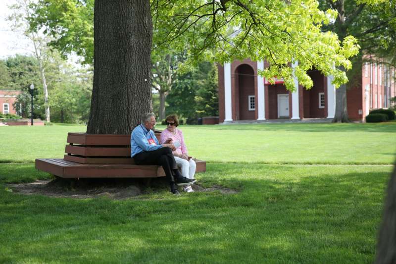 a man and woman sitting on a bench under a tree