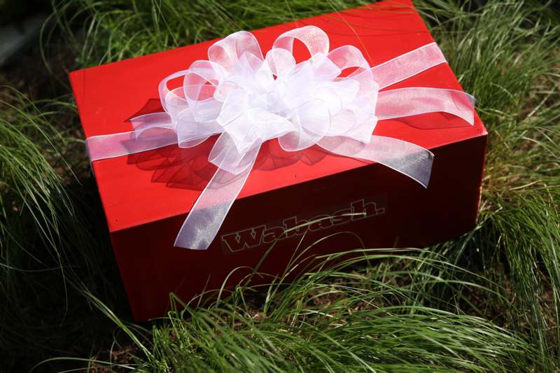a red box with a white bow on grass