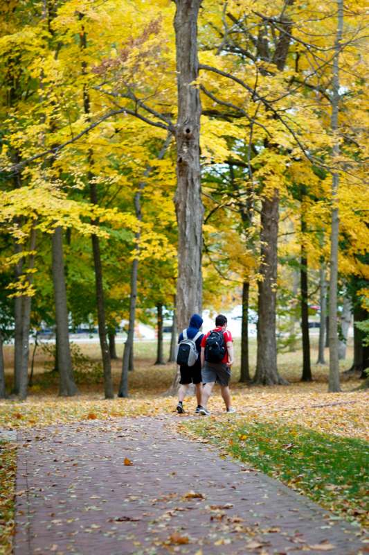 two people walking on a path with trees and leaves