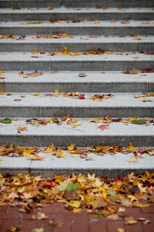 a set of stairs with leaves on them