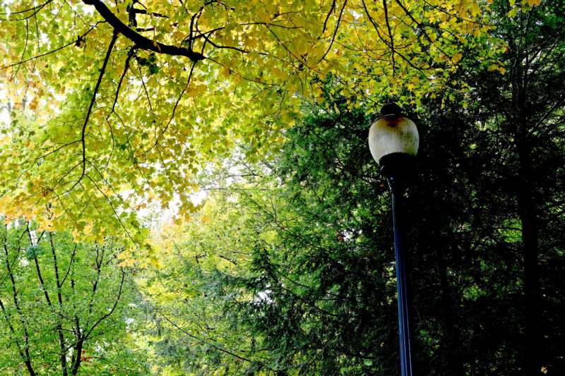 a lamp post with trees in the background