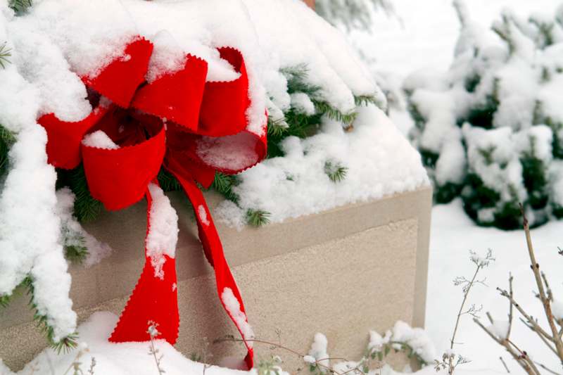 a red bow on a box covered in snow