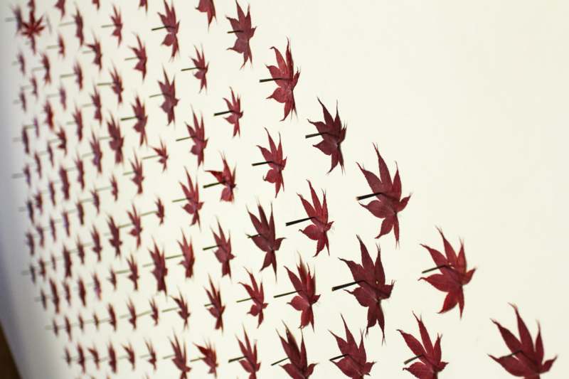 a wall with red leaves
