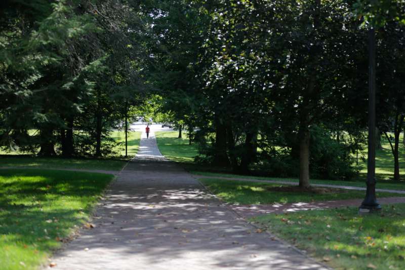 a person walking on a path through a park