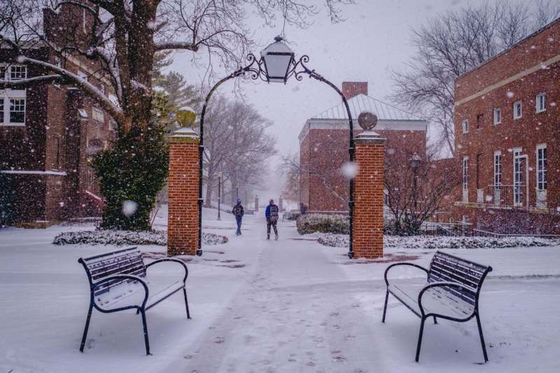 a snow covered walkway with benches and a lamp post