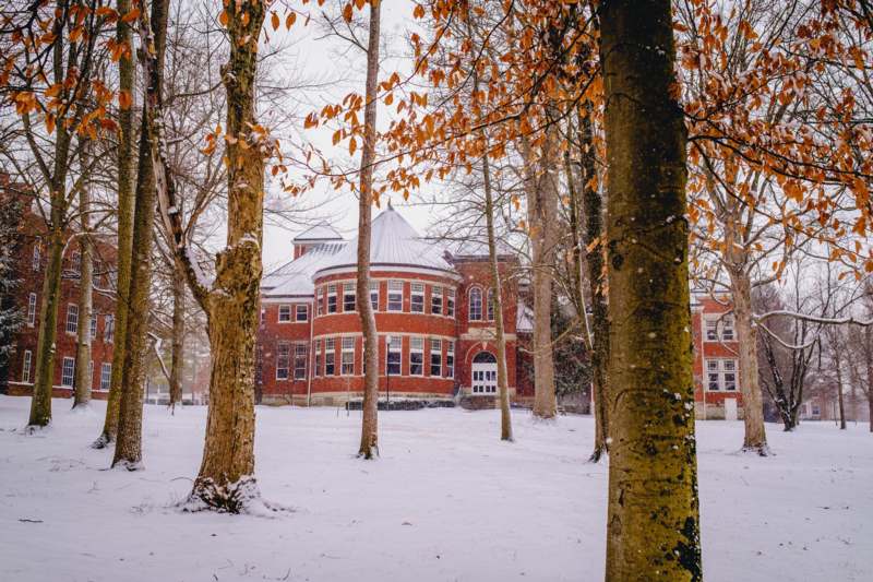 a building with trees in the snow