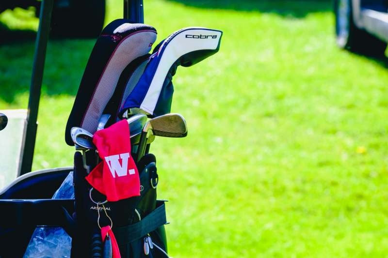 a golf clubs in a bag