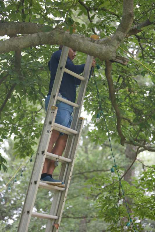 a man climbing a ladder in a tree