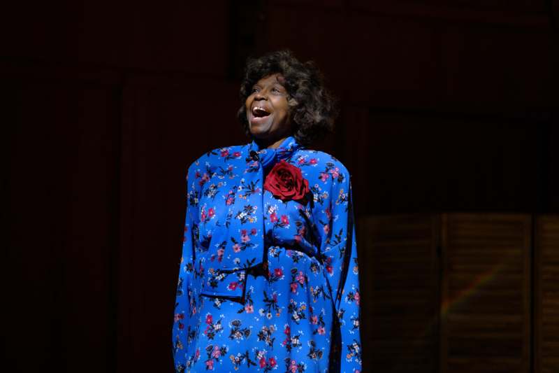 a woman in a blue dress with a red rose on her chest