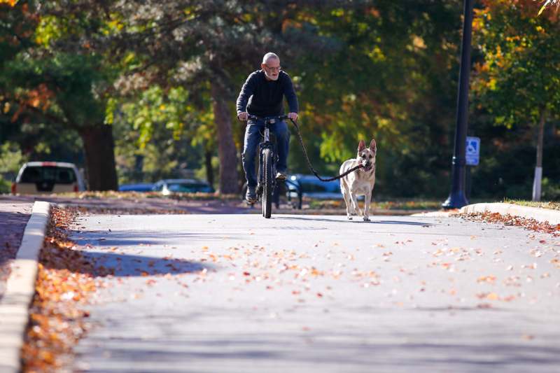 a man riding a bicycle with a dog on a leash