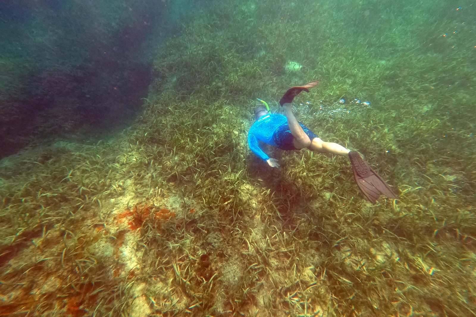 a person swimming underwater with fins