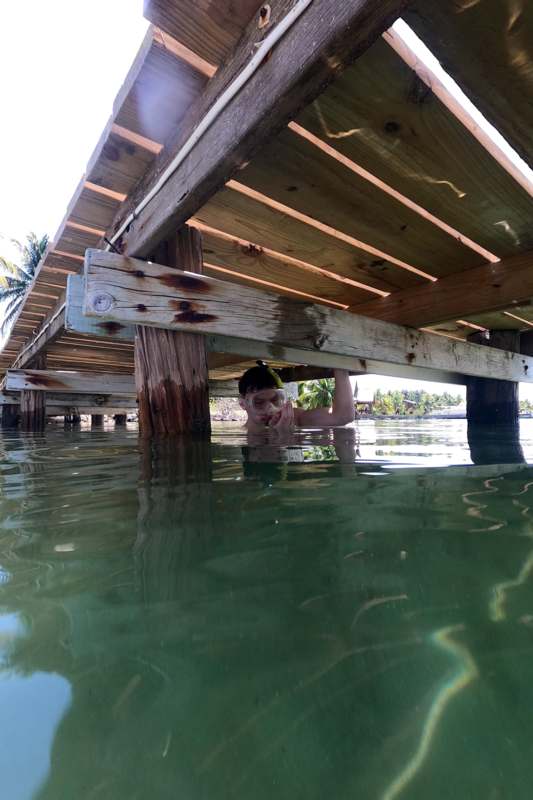 a person under a dock