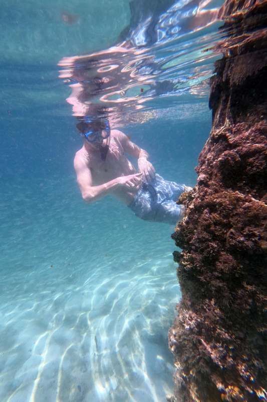 a man in snorkeling gear in the water