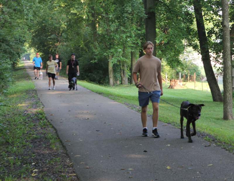 a group of people walking dogs on a path