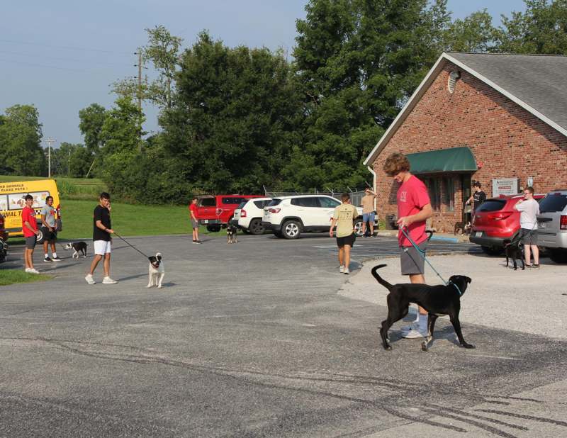 a group of people walking dogs
