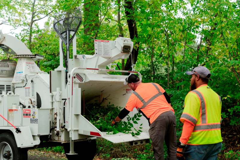 a group of men in safety vests and vests loading leaves into a machine