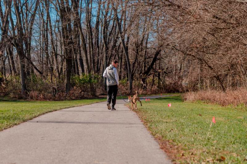 a man walking a dog on a path in a park