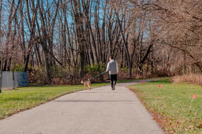 a man walking a dog on a leash on a path in a park