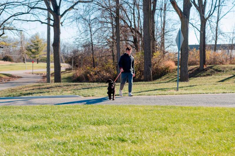 a man walking a dog on a leash