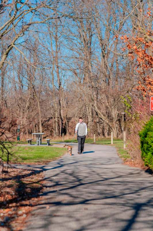 a man walking a dog on a path